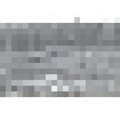 Л.Н. Толстой на прогулке около реки Воронки