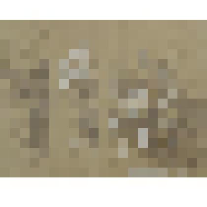 Этюд к картине "Афинская школа"