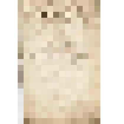 Отчет Василию Осиповичу Алину. По Якшинской пристани. По приему, отпуску, по нагрузке товаров и припасов в суда по открытию навигации, 1901 г, апрель