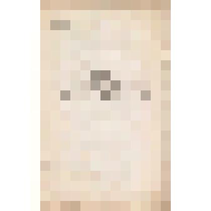 Журнал работ №2 по разведке рудных месторождений. К табель-расчету за февраль месяц 1899 г