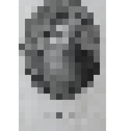 Портрет Густава I