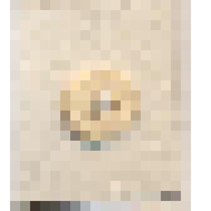 Пуговица круглой формы с четырьмя сквозными отверстиями, рубашечная