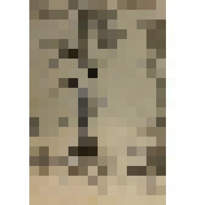 Идущая