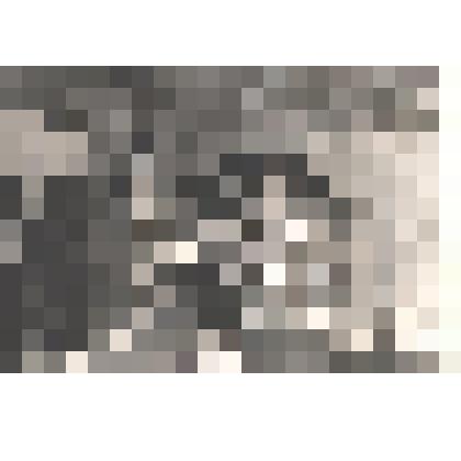 Семья Карелиных на юбилее в школе №88 г.Микунь