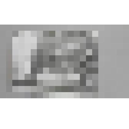 Фотография черно-белая "Деревья"