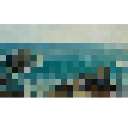 У берегов Черного моря