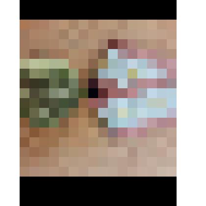 Юбилейная медаль "60 лет Вооруженных Сил СССР" Калешня Д.А