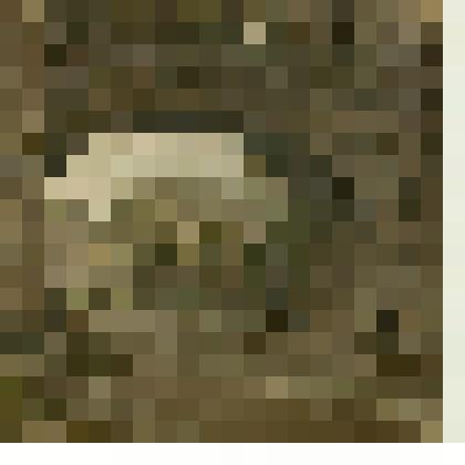 Этюд. Вид на Дрезденскую галерею