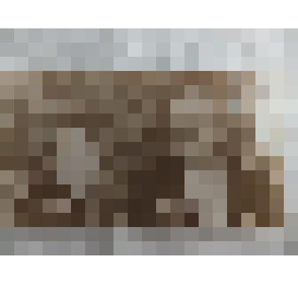 Фотография. Сысоев Ефим Данилович с  женой