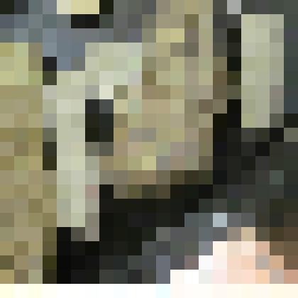 Губки морские. Простейшие. Из коллекции