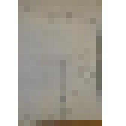 План дачи внутри выгонной земли  г. Сольвычегодска, пустолежащих мест за деревней Цапцынской горой при болоте Равду…льп