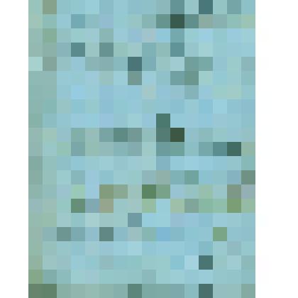 Письма увольнительные государственным и черносошным крестьянам Сольвычегодской округи