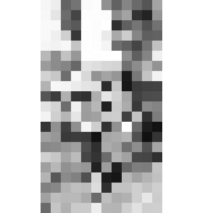 Фото групповое