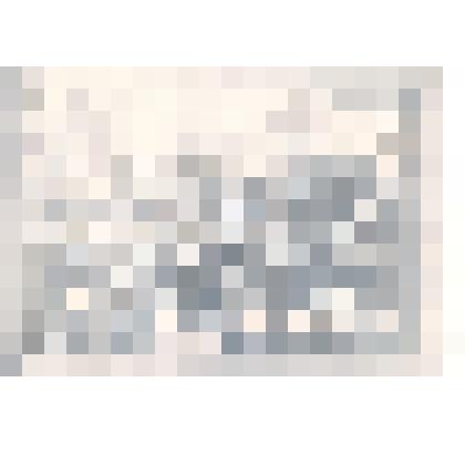 Фотография: Каменский уездный съезд работников просвещения совместно с воспитанниками детских домов в городском саду. Копия