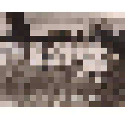 Ч/б коллективное фото участников ансамбля "Пеледыш" ("Цветок") на лугах