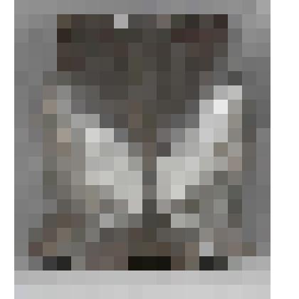 Латы (грудь)