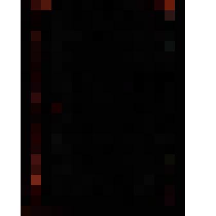 Клавир. Sansone e Dalila: Opera in tre atti. Parole di Ferdinando Lemaire, musica di Camillo Saint-Saёns. Riduzione per canto e pianoforte. - Milano: Edoardo Sonzongno, 1907. - 266 p