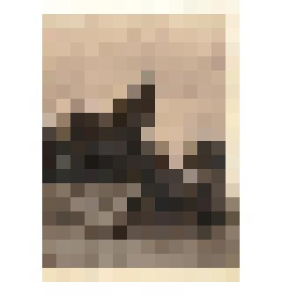 Ф/чб. Немецкие колонистки (крестьянки) с лошадью у колодца на подворье. Поволжье. 1920-е. /Экспедиция Г. Дингеса