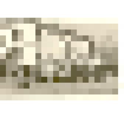 Фотография: колонна строителей "Алтайхлебостроя" на демонстрации 1 мая 1960 года в г.Камне-на-Оби