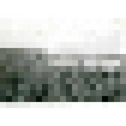 Фотография. Луг в устье р. Каньи (левый приток Алдана)