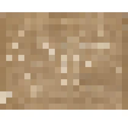 Фото Учащиеся Б-Кувербской школы д.Восход