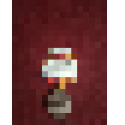 Юбилейная медаль "70 лет Победы в Великой Отечественной войне"  Гусевой Евгении Михайловны