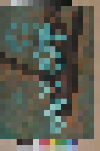 Побег вишни. д.Семчино