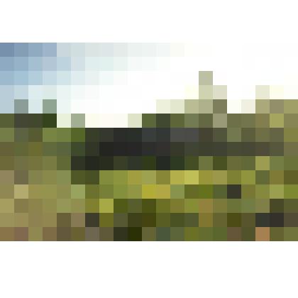 Фотография цветная. Заброшенный дом в п. Верхний Пелым