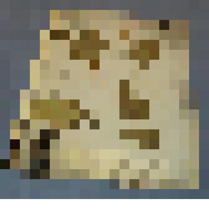 Ботаническая коллекция. Водная лилия, кувшинка,  семейство кувшинковые, на гербарном листе, г.Абакан, окрестности мясокомбината, болото. Nytphaeceae nymphae alba Z