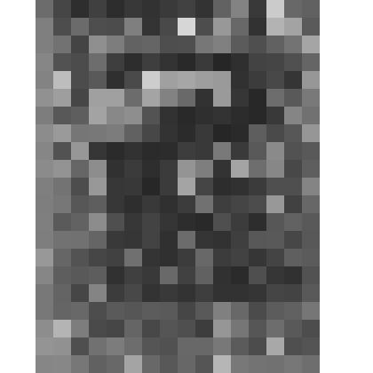 Большой дворец. Западный Китайский кабинет. Южная стена. Панно № 2 "Жанровые сцены в приморском городе". Левая часть