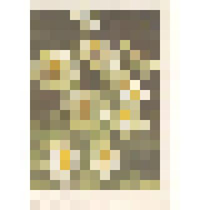 Телеграмма. Колчицкие (Нина, Коля). Адресат: Кассиль Лев Абрамович, г. Ялта - г. Москва. Машинопись