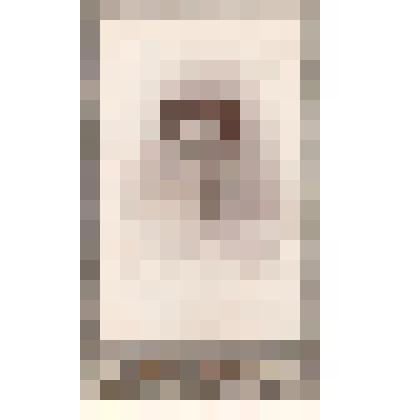 Фотография. Портрет ученицы Мензелинской женской гимназии Они Булатниковой на фотографическом визитном бланке «Visit Portrait»