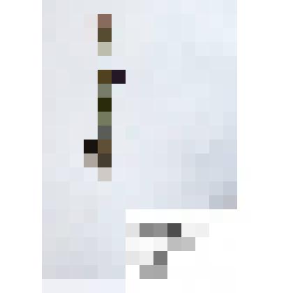 Гербарий
Бурачок  седой