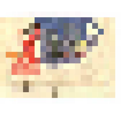 Подшивка. Письмо с конвертом. Из Санкт-Петербурга от Четвериковой Н.Б.  в Чердынь Пиндрус И.В.  от 21.12.2000 г