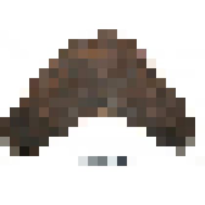 Фрагмент туфля. Головка. Коллекция из раскопок городища Мангазея 2009 г