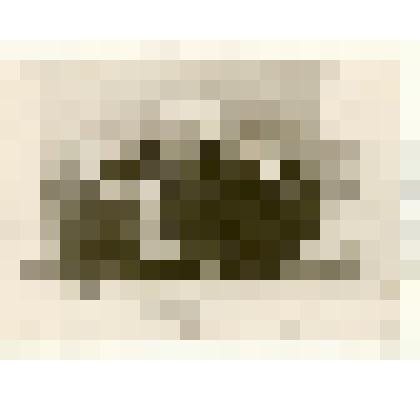 Фотография: I группа бригадиров комплексных и полевых бригад Каменского и Панкрушихинского районов Алтайского края