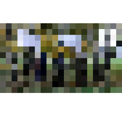 Березовая революция/ Марш триллионов (митинг, пикет...)