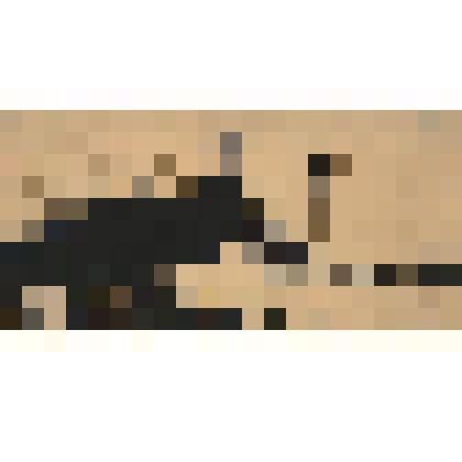 Пейзаж «Ночь»