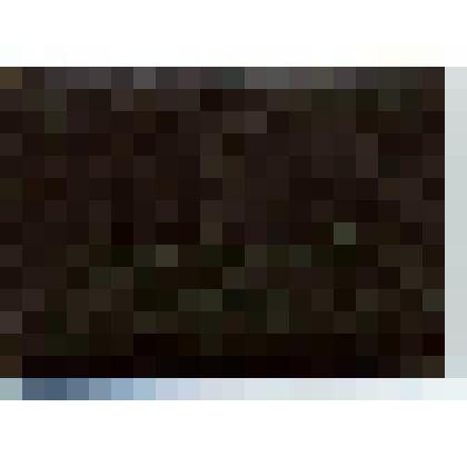 Документ. Депутатский билет № 72 депутата Сланцевского городского Совета депутатов трудящихся Ленинградской области от избирательного округа № 136 12 созыва 1969 г. Ширенко Константина Ивановича