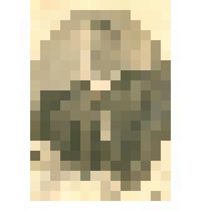 Фотография. Бриммер Степан Васильевич, уроженец с. Грузино Чудовского района