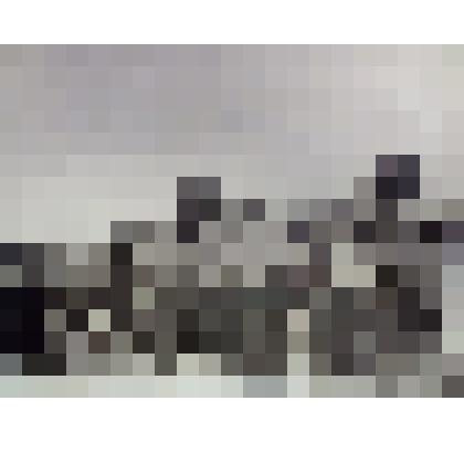 Фото групповое, сбор урожая капусты работниками сельхозпредприятия Ольского района