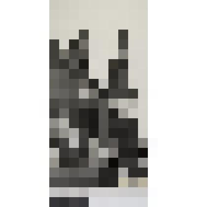 Век грядущий