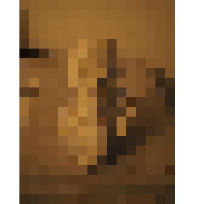 Бюст В. И. Ленина