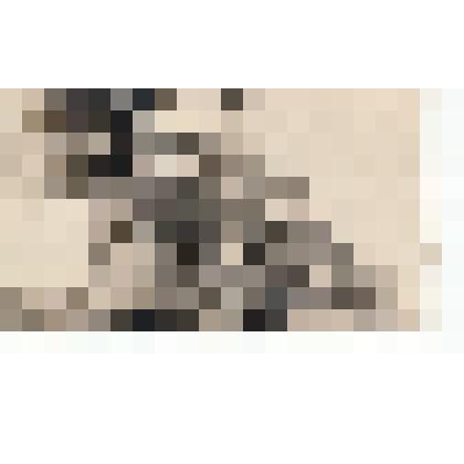 Ф/чб. Андреева (Гуськова) Елизавета Федоровна (справа), ефрейтор 133 ОТБ, с однополчанами. 1945