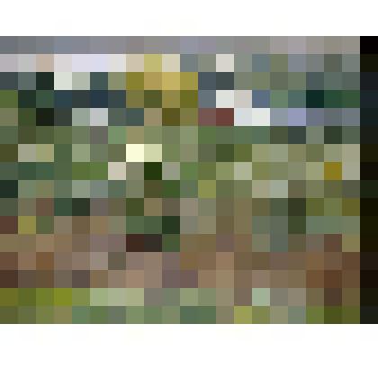 "Ростовские лиманы". Картина