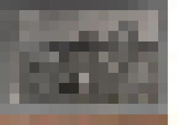 Фотография ч/б. Пасека Крутишинского совхоза. 1972 г