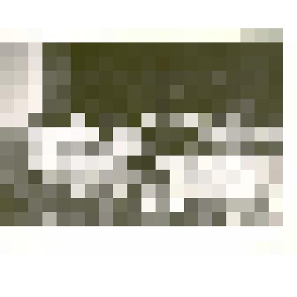 Фотография: районное совещание колхозников. Выступает председатель передового хозяйства района - колхоза "Рассвет" Крутоголовых Василий Иванович