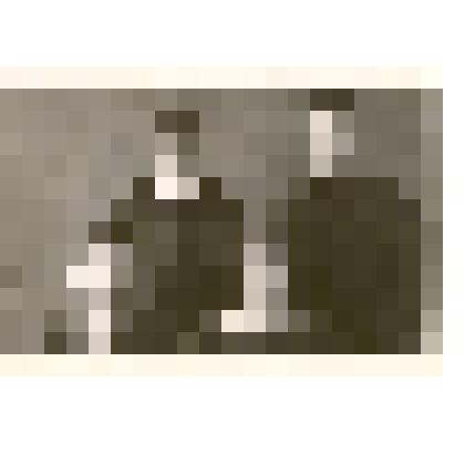 Фотография: бригада коммунистического труда Каменской автобазы сельхозтранса