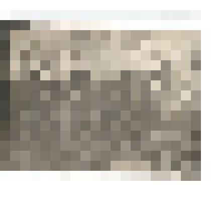 Ф/чб. Лейтенант Потехин М.С., выпускник Энгельсской школы пилотов с 4 сослуживцами-пилотами РККА.  Монголия? 1934-1936