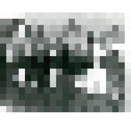 Групповой снимок. Слева направо: 1 ряд: внук Миша, брат Вася, внуки Вася, Кеша. 2 ряд: внучка Ира, жена Ирина Михайловна, Николай Васильевич, отец Василий Гаврильевич Егоров, мать Аксинья Гаврильевна.3 ряд: сестры Оля, Марина, Зоя, соседка Маруся, сестра